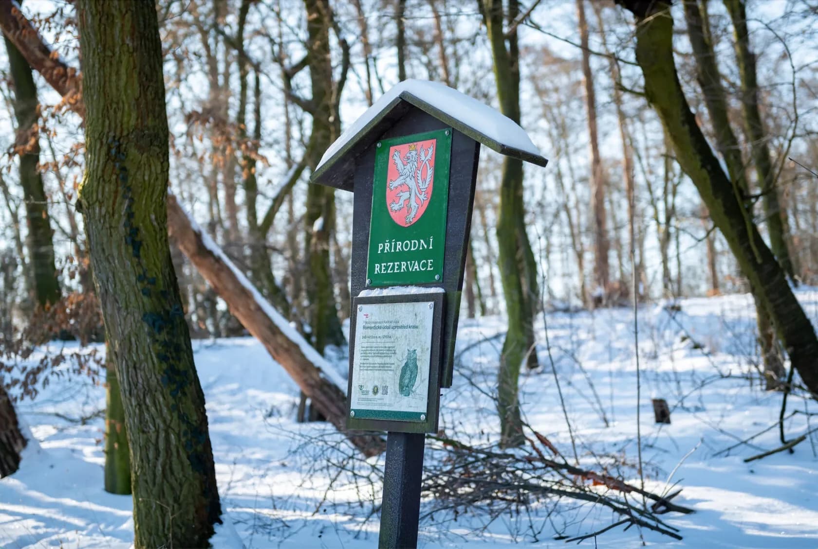 Vila Volnoklasy